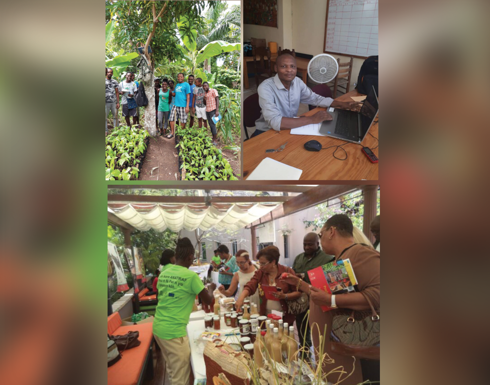 Haïti: développement local et travail social en péril